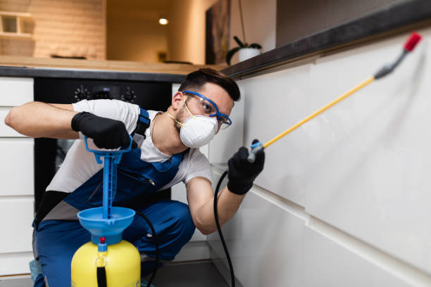 Best Commercial Pest Control Services  in Wailua, HI