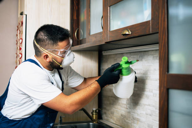 Best Pest Removal Services  in Wailua, HI