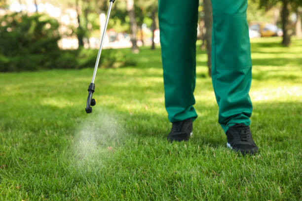 Flea Control Services in Wailua, HI