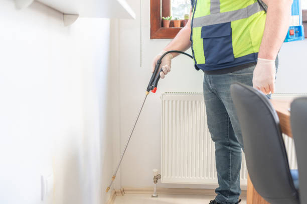 Best Pest Inspection Near Me  in Wailua, HI