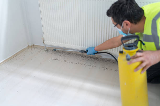 Best Exterminator Services  in Wailua, HI